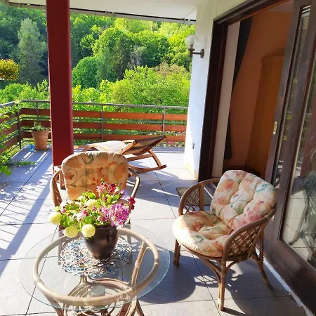 Ferienwohnung Rhododendron - Natur Pur Am Highwalk Ротенбург-на-Фульде Экстерьер фото
