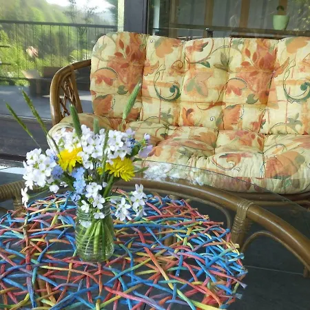 Ferienwohnung Rhododendron - Natur Pur Am Highwalk Ротенбург-на-Фульде Экстерьер фото